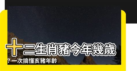 生肖屬豬|屬豬今年幾歲｜屬豬民國年次、豬年西元年